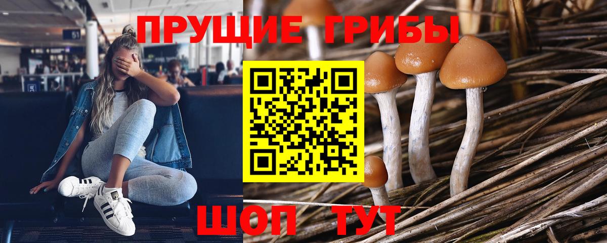 Псилоцибиновые грибы MAGIC MUSHROOMS  Вход с VPN  закладка  Чехов 