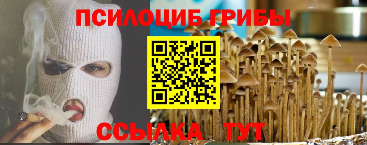 Галлюциногенные грибы прущие грибы Чехов